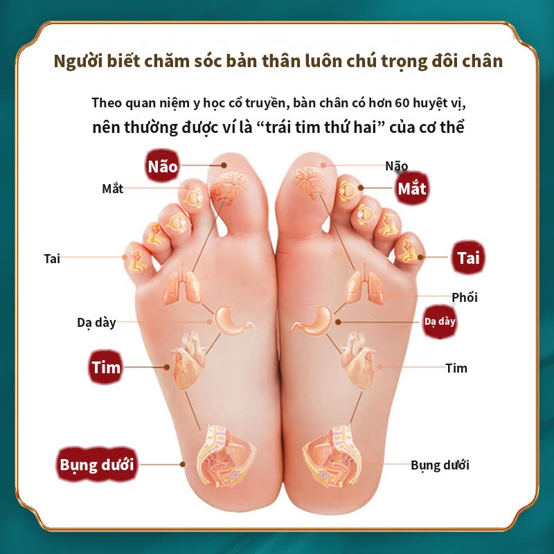 Bản đồ huyệt vị bàn chân theo y học cổ truyền